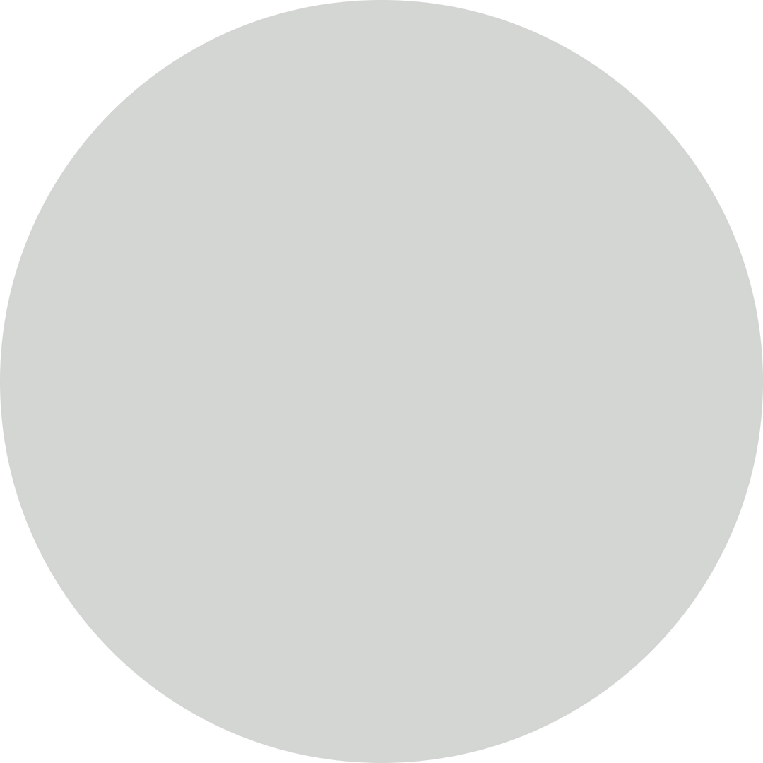 White Stone Nr. 080